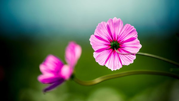 软件定义车辆的网络安全：实现安全出行五项措施