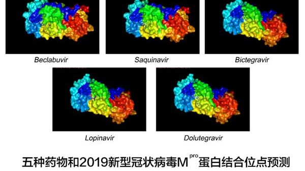华为、华中科技大学等联合筛选抗病毒药物 研究成果通过华为云开放